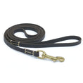 Load image into Gallery viewer, Genuine Leather Dog Leash - Dog