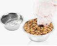Load image into Gallery viewer, Pet Stainless Steel Bowls - Dog and Cats