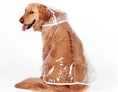 Load image into Gallery viewer, Waterproof Raincoat for dogs- Dogs