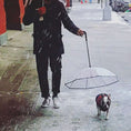 Load image into Gallery viewer, Transparent Dog Umbrella - Dog