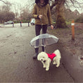 Load image into Gallery viewer, Transparent Dog Umbrella - Dog