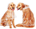 Load image into Gallery viewer, Waterproof Raincoat for dogs- Dogs
