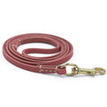 Load image into Gallery viewer, Genuine Leather Dog Leash - Dog