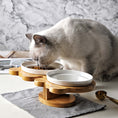 Load image into Gallery viewer, Ceramic Dog and Cat Bowl- Dogs and Cats