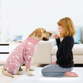 Load image into Gallery viewer, Winter Dog Pajamas - Dog