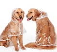 Load image into Gallery viewer, Waterproof Raincoat for dogs- Dogs
