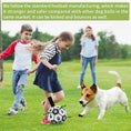 Load image into Gallery viewer, Dog Interactive Soccer Ball - Dog