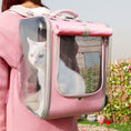 Load image into Gallery viewer, Cat Transparent Bag - Cat