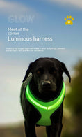 Load image into Gallery viewer, LED Luminous Dog Chest Strap - Dogs