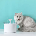 Load image into Gallery viewer, Pet Water Fountain - Dogs and Cats