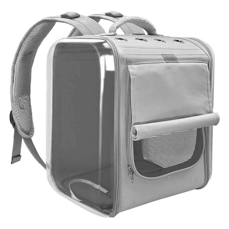 Cat Transparent Bag - Cat