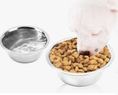 Load image into Gallery viewer, Pet Stainless Steel Bowls - Dog and Cats
