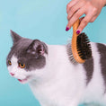 Load image into Gallery viewer, Dog Cleaning Brush - Dog
