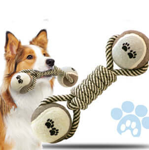 Dog Dumbbell Teeth Chew Toy - Dog