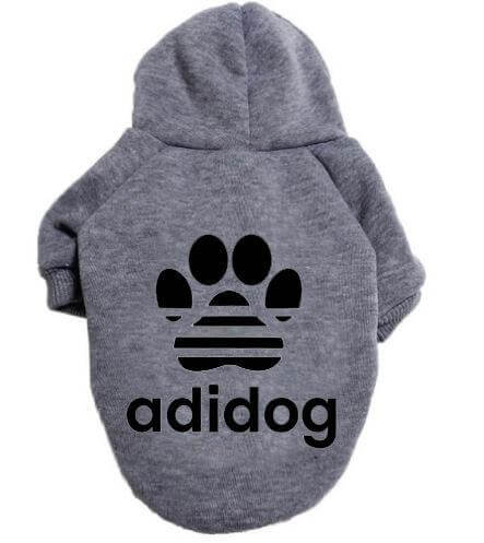 Dog Adidog apparel hoodie on