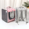Load image into Gallery viewer, Cat Transparent Bag - Cat
