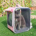 Load image into Gallery viewer, Cat Transparent Bag - Cat
