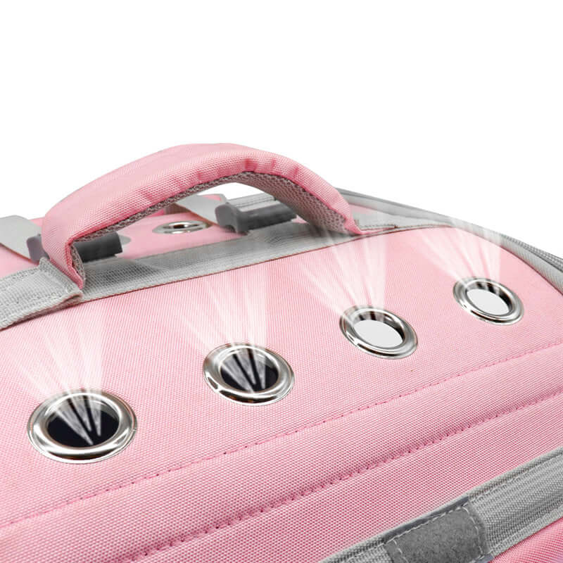 Cat Transparent Bag - Cat